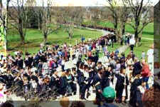 633038.jpg (18004 bytes)