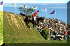 585007.jpg (11815 bytes)