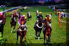 585096.jpg (12438 bytes)